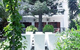 Evans Skiathos